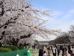 東京国立博物館本館方面