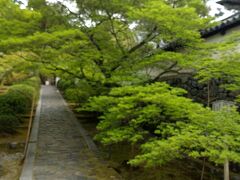 枯山水の石庭や一休宗純の木像のほか、納豆の一種である「一休寺納豆」でも有名であります。（Wikipedia参照）