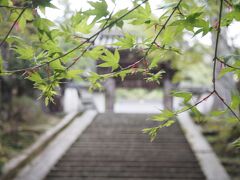 後もう少しですが、かなり歩いた後のこの階段は堪えます。勝手神社から撮影タイムも入れて、小一時間かかっていました。