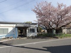 今回は佐賀県みやき町のJR中原駅からスタートです!!
満開となった桜がお出迎えしてくれました。