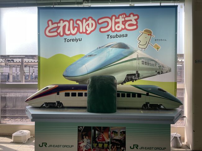 とれいゆつばさ フィナーレプロジェクト ラストラン 記念乗車証