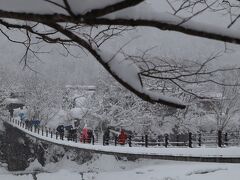 この吊り橋の向こうが、白川郷の集落の中心です