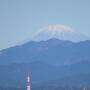 舘山寺温泉と夜のフラワーパーク