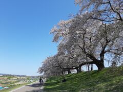 白石川千桜公園