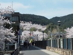 京都駅からJRと京阪線を乗り継いで
三井寺駅に着きました。

駅前には琵琶湖疏水。
山の中腹まで桜で埋め尽くされている景色に
心が高まってきます♪