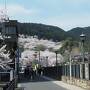 久しぶり♪旅空で桜を仰ぎ見る＊2022春 滋賀＆京都へ〈三井寺＆琵琶湖疏水〉湖水が運ぶ春景色