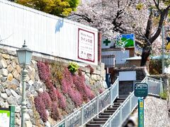 ラインの館
https://www.kobe-kazamidori.com/rhine/

お花が素敵に彩る階段を上がるとラインの館です。