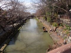 八幡山城のお堀は後に琵琶湖の水を利用した水運のかなめとなり
近江八幡の繁栄を支えました。
柔らかな雰囲気が素敵です。

堀沿いの木々は・・桜かな？
