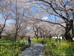 平野神社