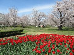 京都府立植物園