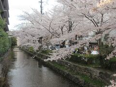 夕食場所に向かう際に歩いた高瀬川沿い。
ここも桜並木が美しかったです。