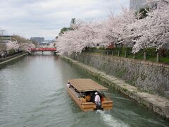 平安神宮に移動する際に乗船した琵琶湖疏水の十石舟。
桜の季節、琵琶湖疏水の一部、岡崎疏水を使用して十石舟が運行されます。30人ほどが乗れる小舟を船頭さんが操る中、ガイドさんの説明を聞きながら、25分ほど桜を観賞するのんびり舟旅を楽しむことができます。人気の桜巡りで、チケットはウェブで事前予約するか、当日8時半から販売するその日一日分のチケットを購入するかどちらかです。桜を舟から見上げられるのは面白かったですが、決められた時間に乗船しなければならず、行動が制約されたのが残念です。
