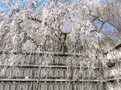 4/1
そして人が少ない大石神社です。