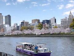 4/4
翌日は大阪に用事があって行きました。
京阪天満橋で下車して見た八軒屋浜です。
晴れ渡って素晴らしい景色！！
満開の桜を船上から見物出来ます。