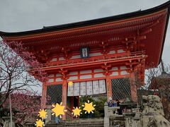 ～その３の続き～

八坂庚申堂から歩いて、清水寺に来ました。