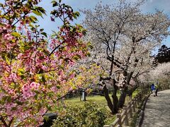 鹽竈神社