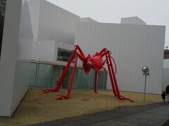 十和田市現代美術館です