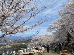 駅前は甚六桜公園という公園になっています。