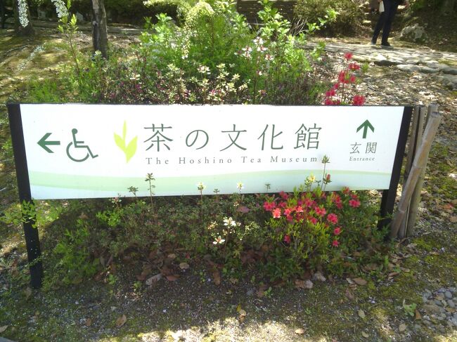 山のあなたの空遠く 星の花公園シャクナゲまつり 八女 筑後 福岡県 の旅行記 ブログ By Decoさん フォートラベル