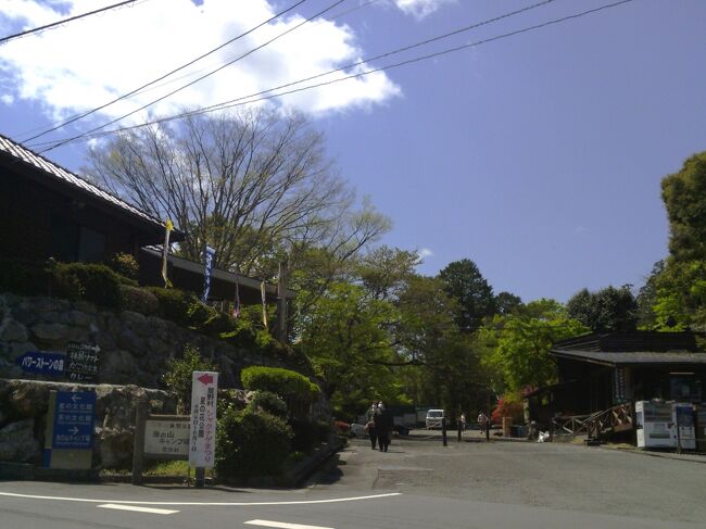 山のあなたの空遠く 星の花公園シャクナゲまつり 八女 筑後 福岡県 の旅行記 ブログ By Decoさん フォートラベル