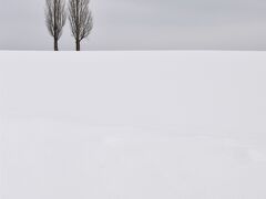 まず来たのは赤羽の丘と呼ばれる場所。
別のガイドさんの冬の写真ツアーでも来た事があるので、冬は定番なのかな？