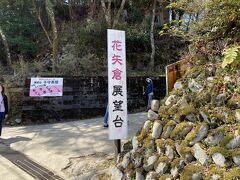 ようやく上千本の

「花矢倉展望台」