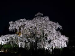 後ろの黄色い木が見えない場所へ移動しました。
19：00ごろまでライトアップを楽しみ郡山駅近くのホテルへ移動しました。
ビジネスホテルなので、西口の近くまで出て食事をとりました。
郡山在住の人は自宅へ帰り、残りのメンバーでまた部屋で2次会を開催しました。
明日で撮影会は終了なので最後の歓談です。