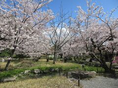 烏丸七条バス停から北東へ５分ほど歩いたところにある渉成園にやってきました。東本願寺の飛地境内で、東本願寺１３代宣如上人が１６５３年に退隠して隠居所にしました。池泉式回遊式庭園で、見どころの多い建物が建っています。受付から入ってすぐの石垣は長い切り石や石臼や自然石などで組まれていて芸術的な美しさを感じました。
