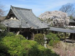 中千本公園に戻り、吉野山坂道を下ってすぐのところに建つ竹林院に行きました。宿坊も営んでいる寺です。