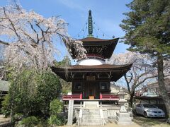 次に寄ったのは東南院です。金峯山寺創建の際に、東南の方向に建てられたことから名が付いたそうで、境内には1564年と刻まれた多宝塔が建っています。塔の周囲の枝垂れ桜がきれいに花をつけていたのが印象的でした。吉野を訪れる観光客のほとんどが桜観賞のため、寺を訪れる人が少なくゆっくり参拝することができました。
