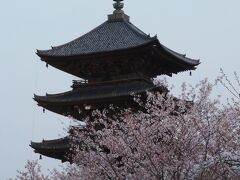 東寺(教王護国寺)