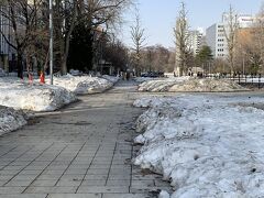 大通り公園の通路には雪がないが、垣根や芝生エリアなどはまだ雪が手つかずで残っている。
目測で大人の膝丈くらいだろうか。

通路が除雪され乾いていたおかげで、スニーカーで札幌市内を歩き回れた。
改めて、札幌の皆さんに感謝。