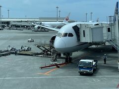 那覇空港に到着です。
沖縄は曇り。