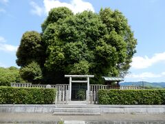 　　　　　　　それは吉備姫王(きびひめ)の墓前にあります