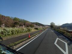 交通規制

さくらまつり開催時は
ここが一方通行になり
駐車場待ちの車で列が出来るそうだが
もう少し駐車場は広くできないのかな？