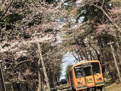 　桜がもう少し咲いていたら、絵になる写真となったのでしょうが、そうなると人が多く密でしょうから、これで我慢しましょう。