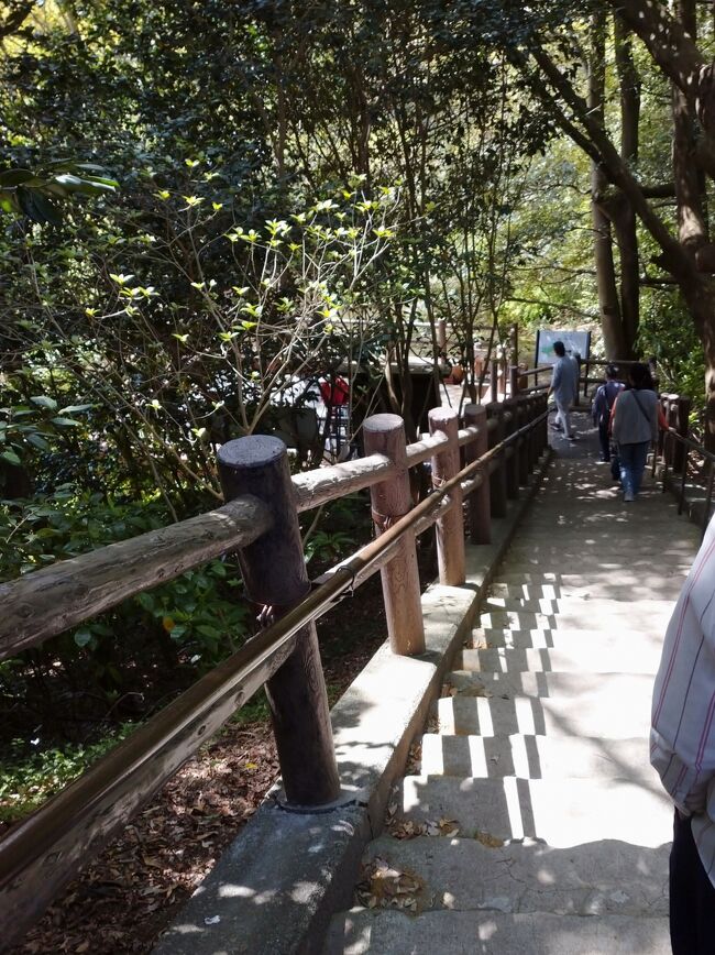 第一展望台<br />展望台はのぼるものと思いきや、下り・・・