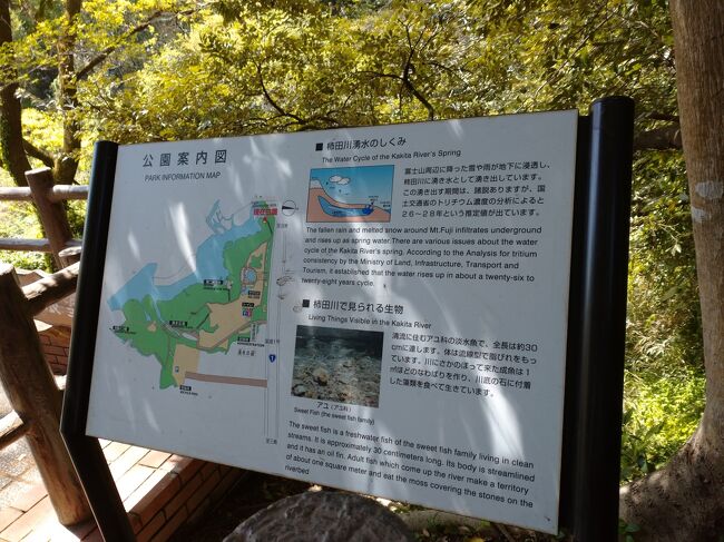 ボランティアの方が説明してくださいました