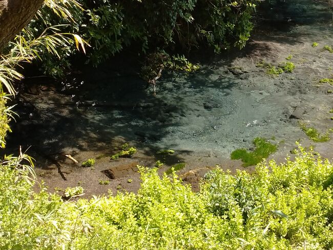 こちらにも、あちらにも！