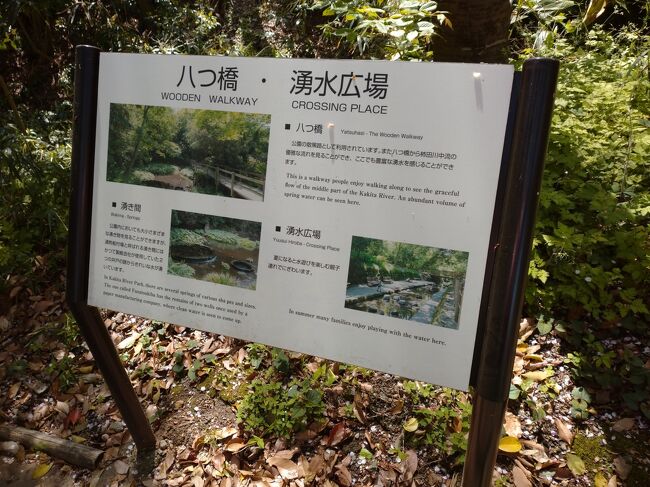 第二展望台は動画しかなくぜひご自分の目で楽しんでください。<br />とても綺麗です。<br />芝生広場もあり、お弁当もレジャーシートひいて食べれます。