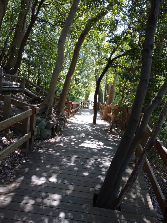 森林浴<br />癒されます