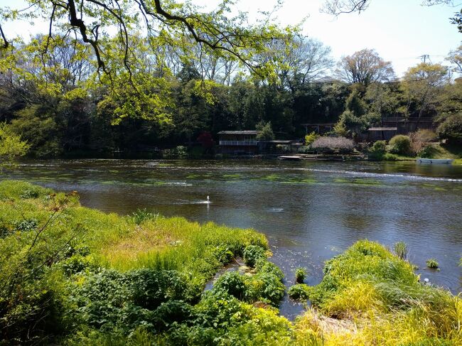 大きく深呼吸したくなります
