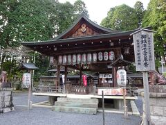 駅付近の観光スポットということで、新宮神社に参拝。
良い雰囲気の神社です。