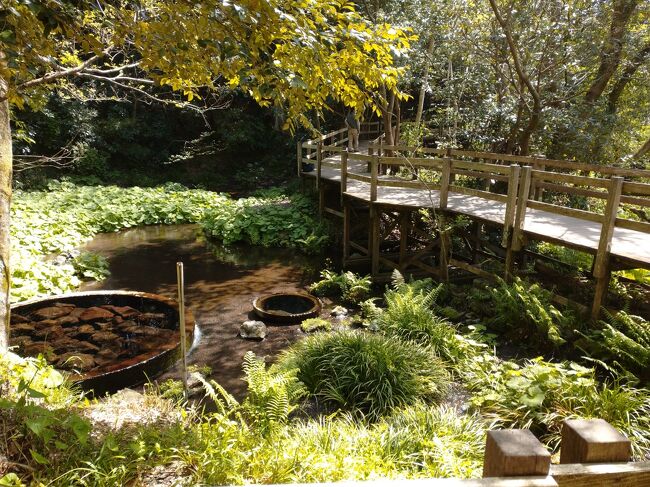 綺麗に整備されています