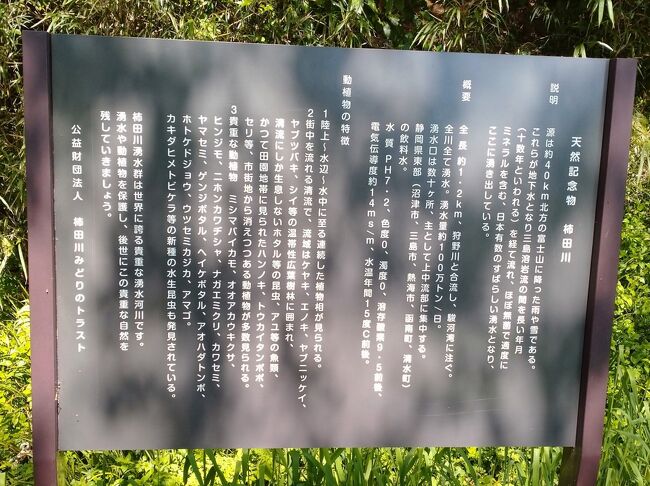 大切に守らないといけませんね