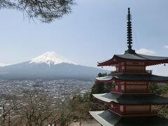 桜が咲けば富士山、塔、桜、で絶景ポイントです。
富士吉田の町が見渡せます。