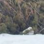 春の富山を巡る旅②～いよいよ雪の大谷へ～