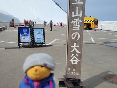 いよいよ”雪の大谷”です。