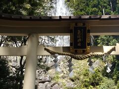 やっと至近距離で会えた、那智の滝
飛瀧神社の鳥居越しに見える
落差113m、水量はこの時はそれほど多くはなさそう
銚子口の岩盤に切れ目があって三筋に分かれて流れ落ちるところから、三筋の滝とも呼ばれている
確かに三筋になっているのが、はっきり見て取れた