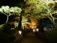 栗林公園秋のライトアップ